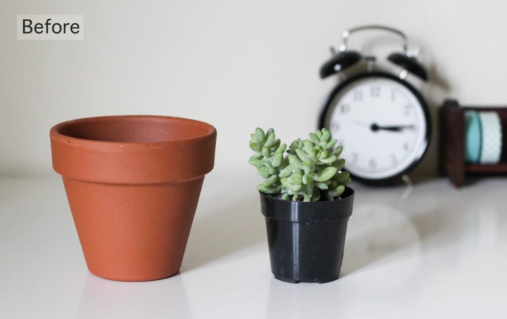 DIY Painted Planters | The Crafted Life