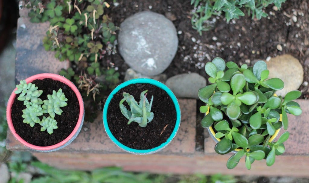 DIY Painted Planters | The Crafted Life