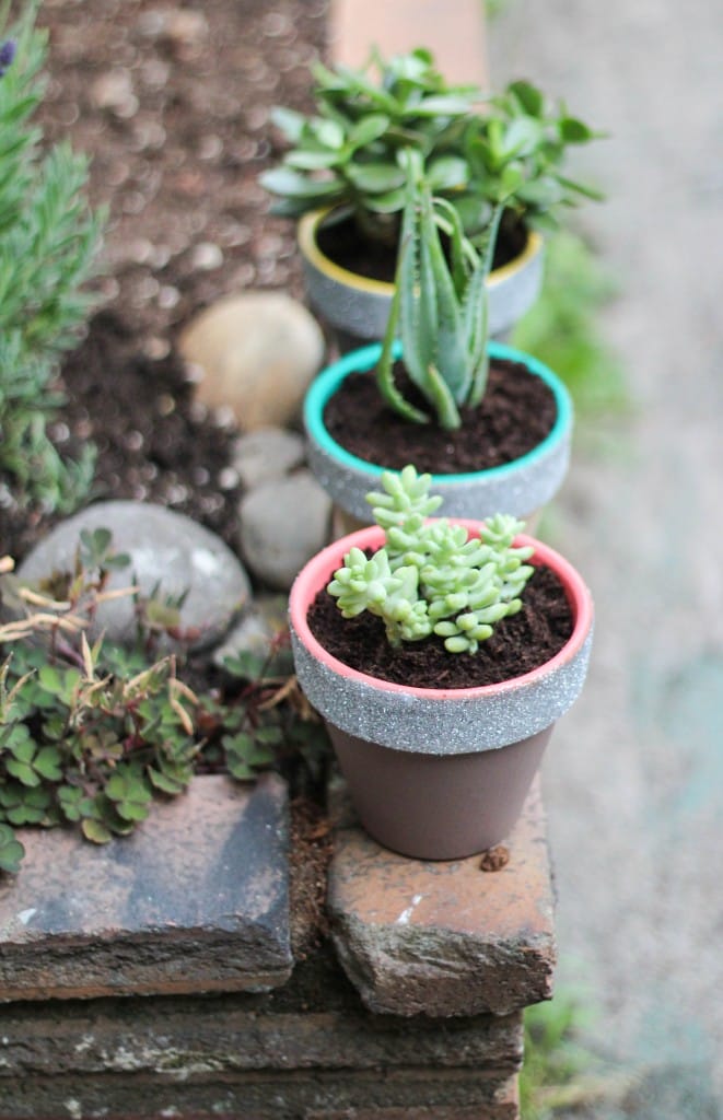 DIY Painted Planters | The Crafted Life