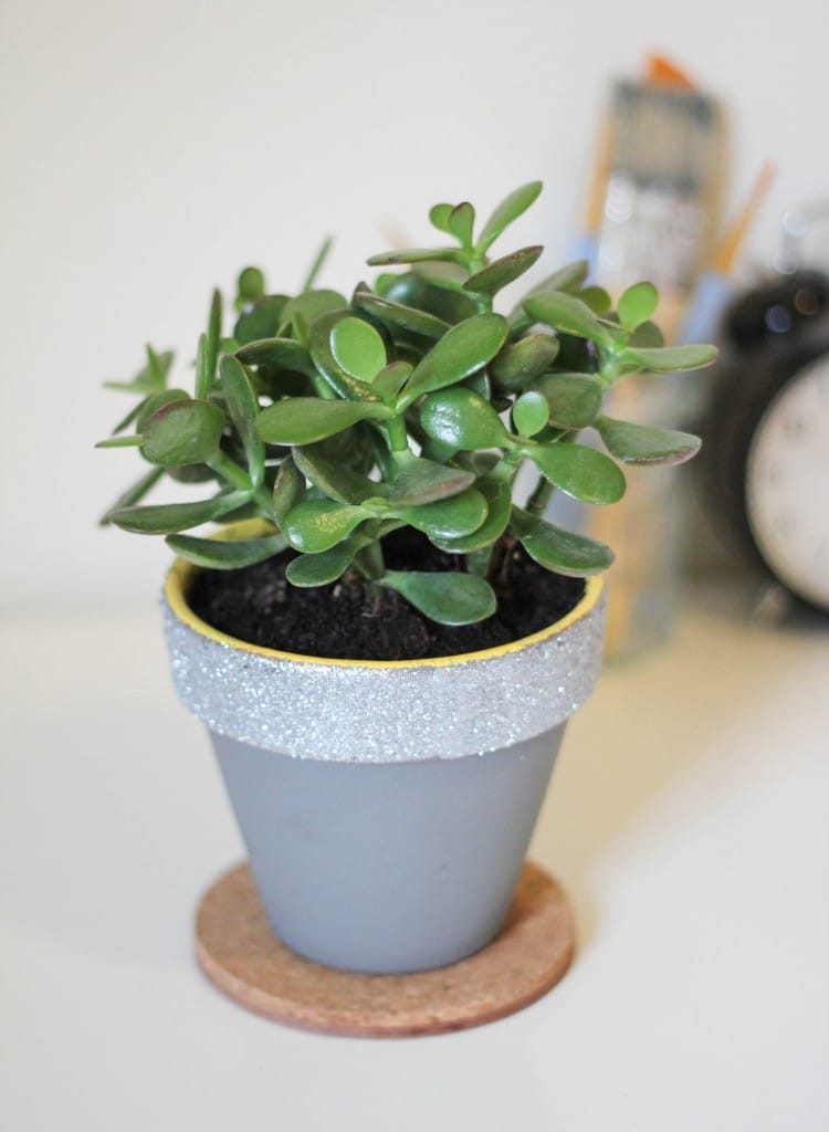 DIY Painted Planters | The Crafted Life