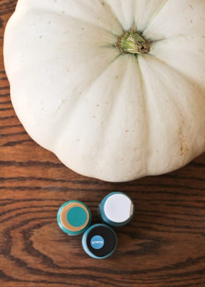 Pumpkin Vase | The Crafted Life