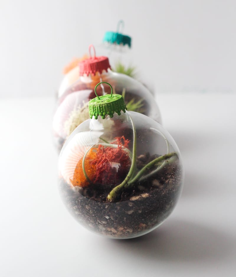 DIY Ornament Terrarium | The Crafted Life