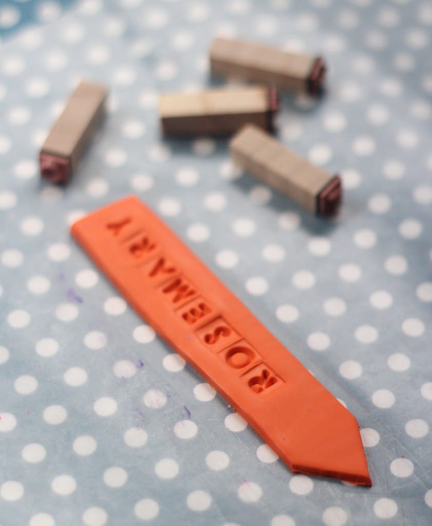 DIY Colored Herb Markers | The Crafted Life