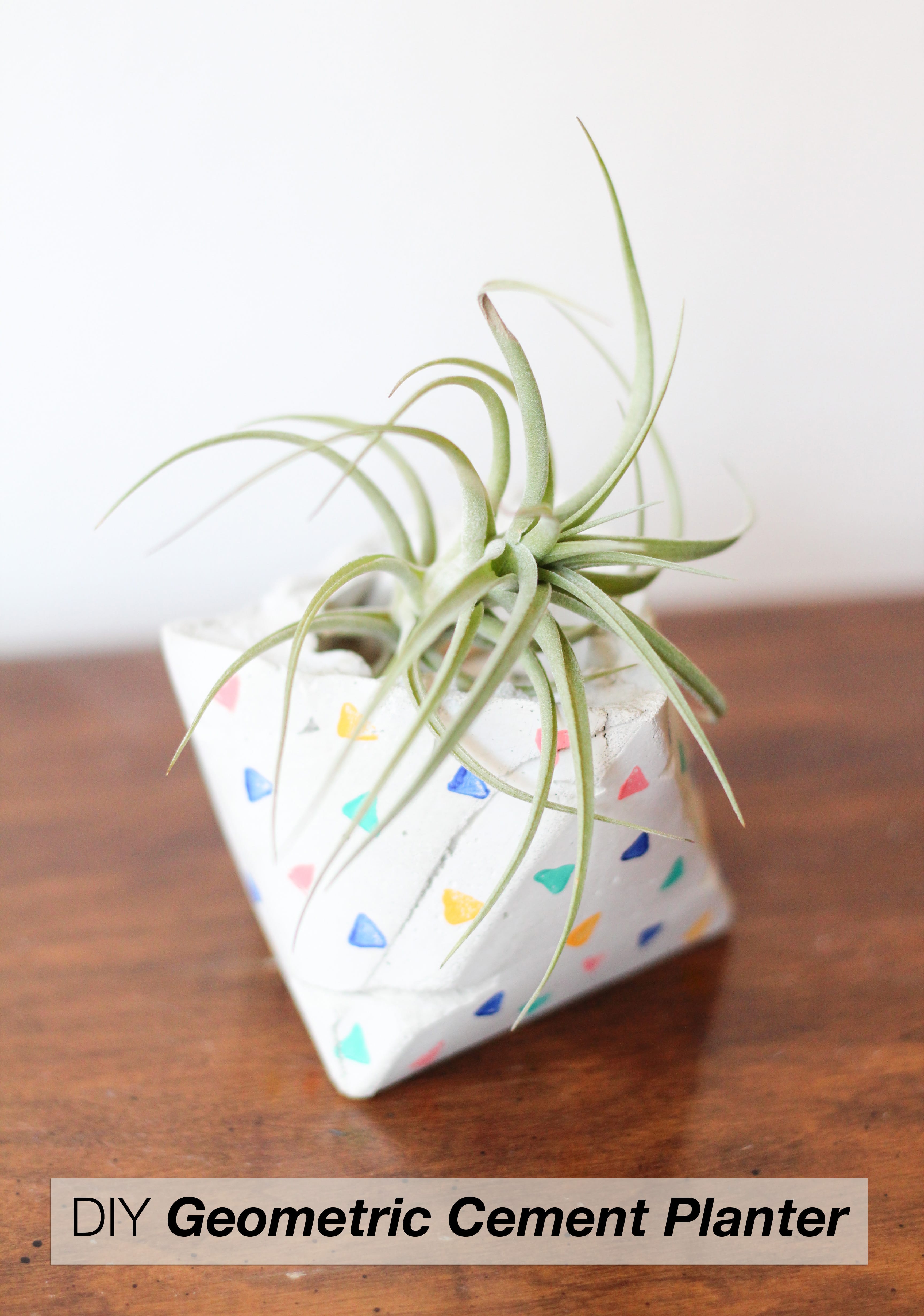 DIY Geometric Cement Planter