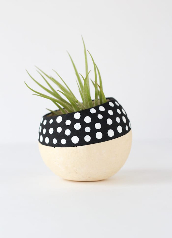 Air Plant Holder $14