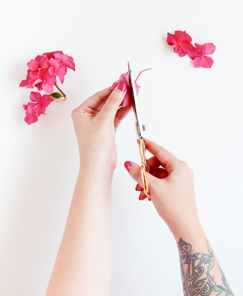 How To Press Flowers