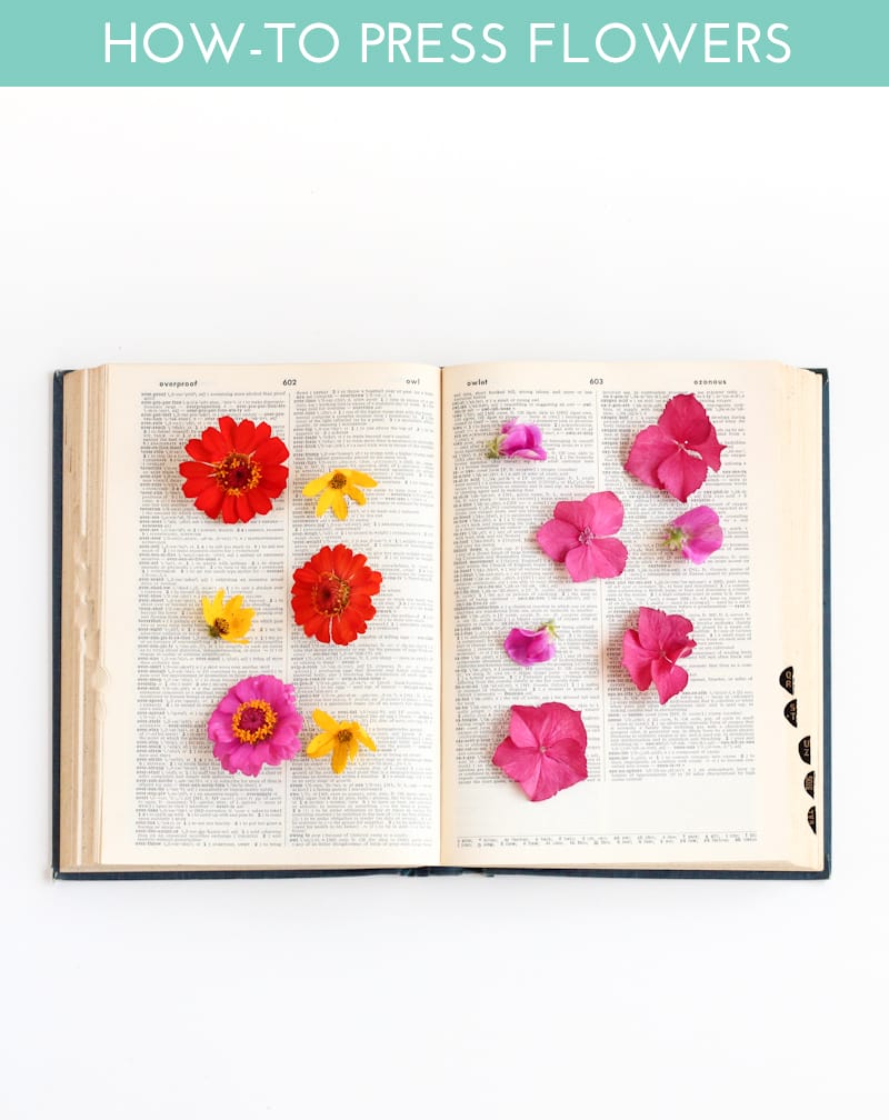 How To Press Flowers