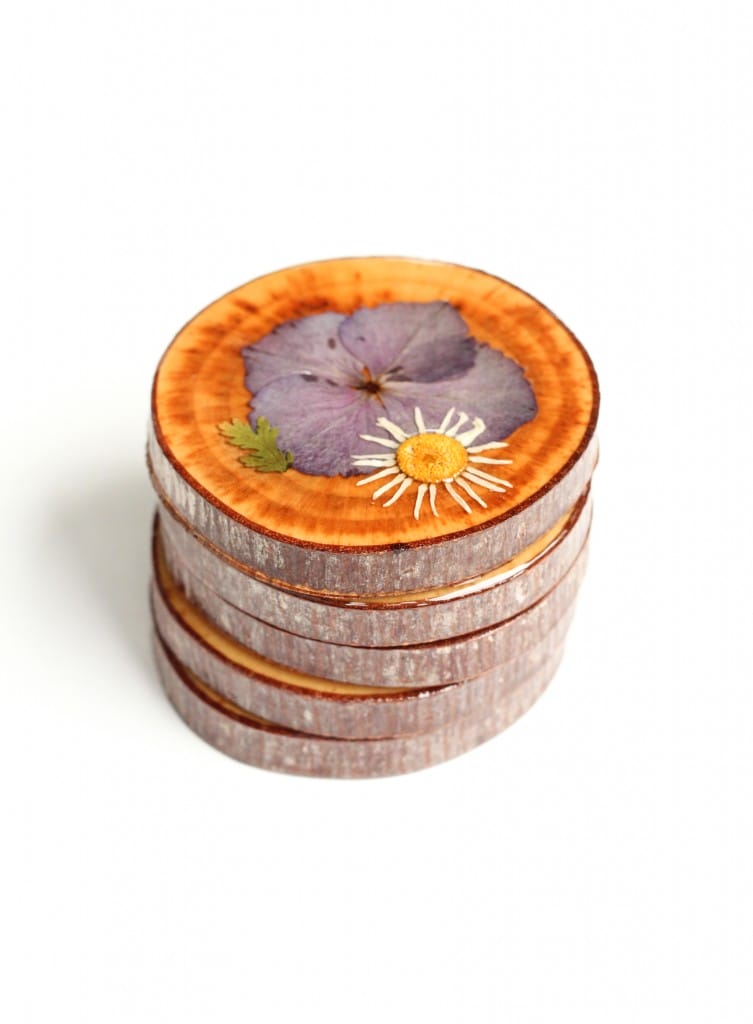 DIY Dried Flower Coasters (click through for tutorial!)