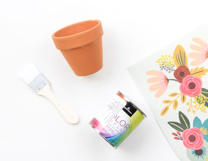 DIY Painted Planters (inspired by Rifle paper Co)