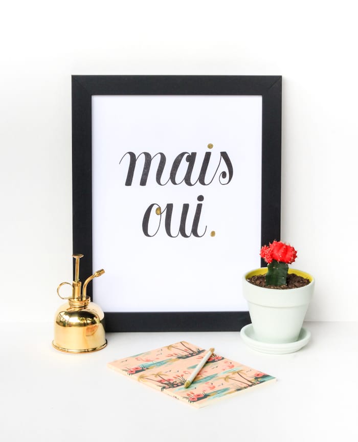 DIY Painted Planters (inspired by Rifle paper Co)
