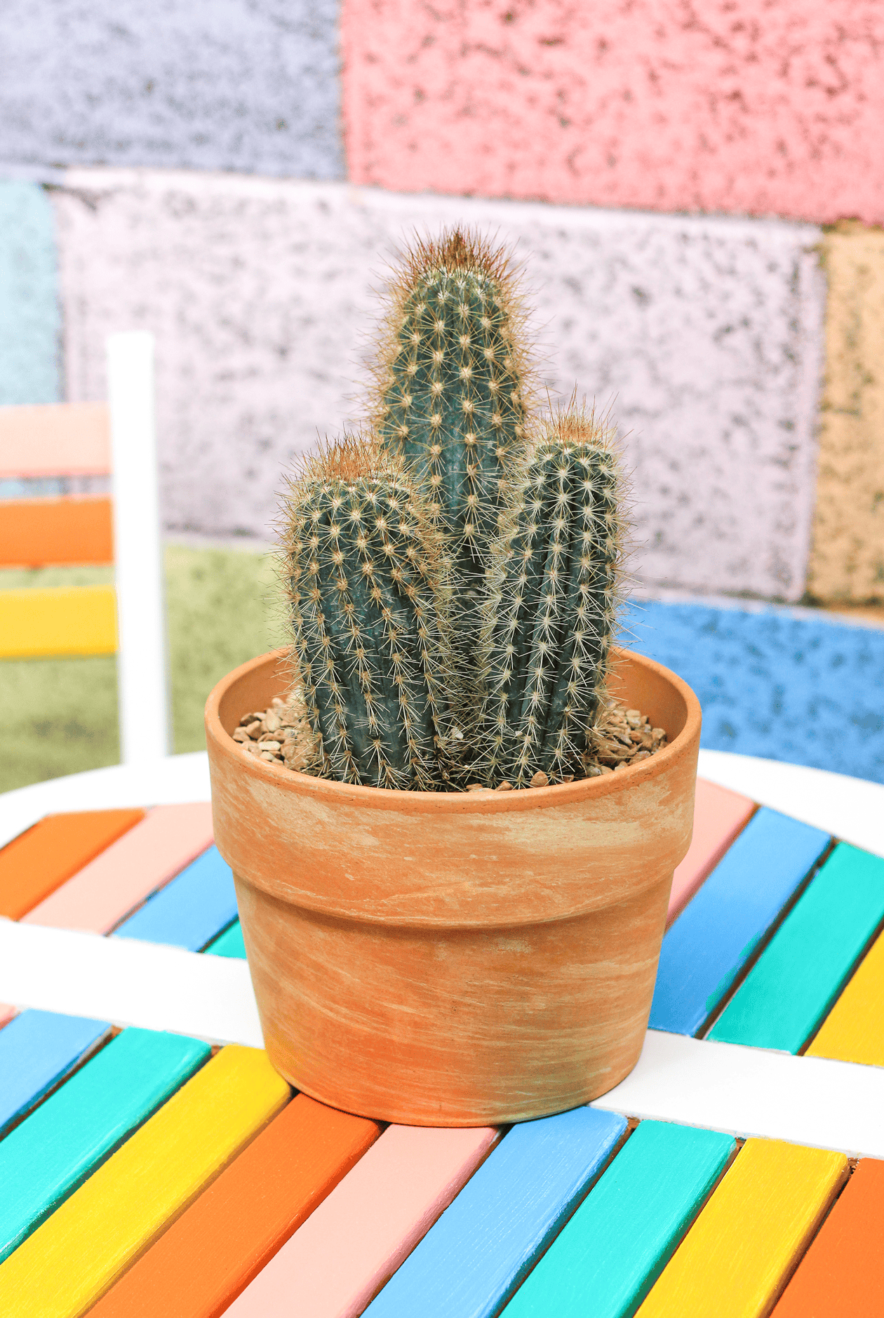 With just a bit of paint, you can make a cheap bistro set feel like you're in Palm Springs! Add a little rainbow to your patio decor with this DIY Table Makeover!