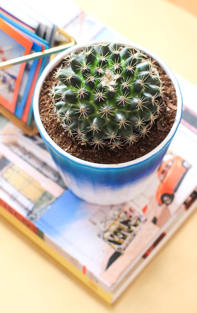 Learn to make these colorful and fun ombre planters in only 5 minutes!