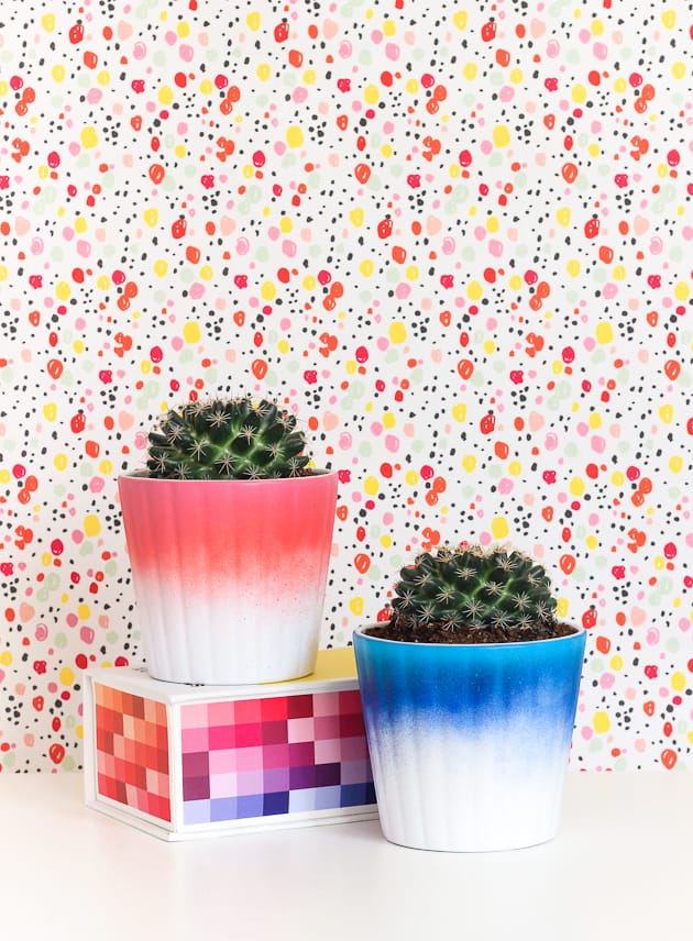 Learn to make these colorful and fun ombre planters in only 5 minutes!