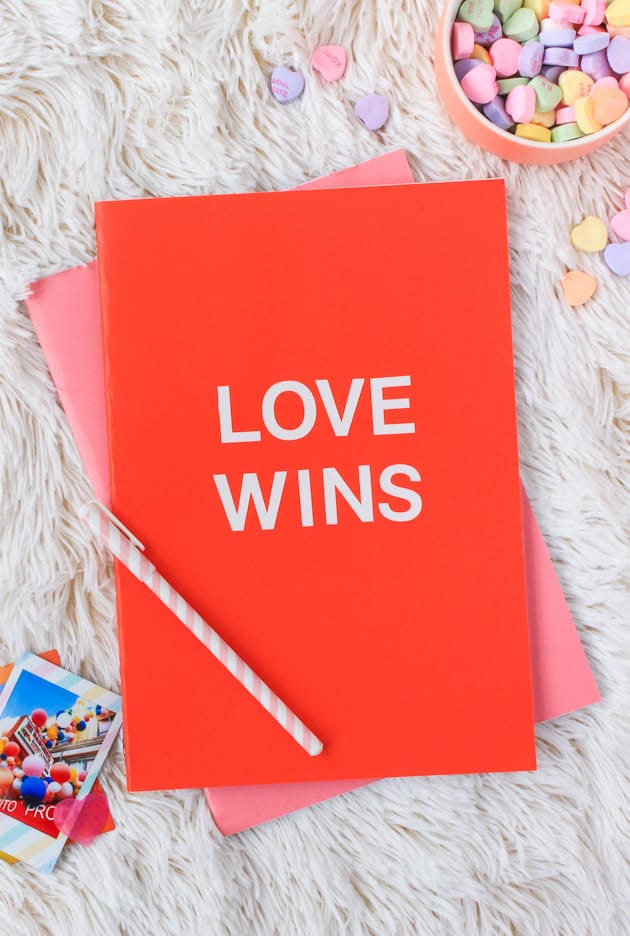 Valentine's Day Notebooks