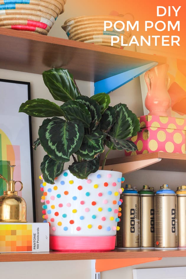Make your own pom pom planter in 30 minutes!