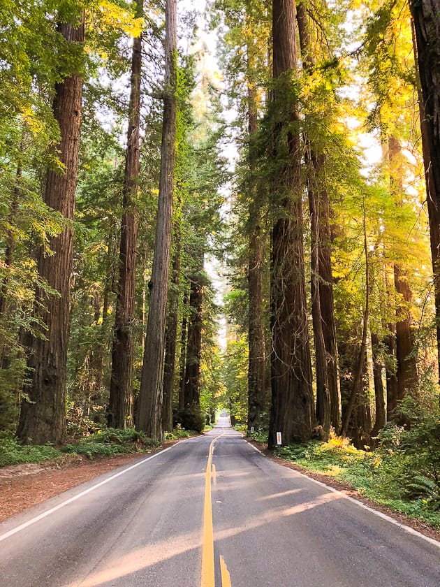 Hello Color Book Tour