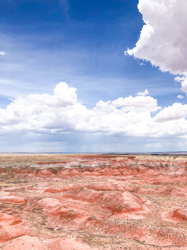 Hello Color Book Tour