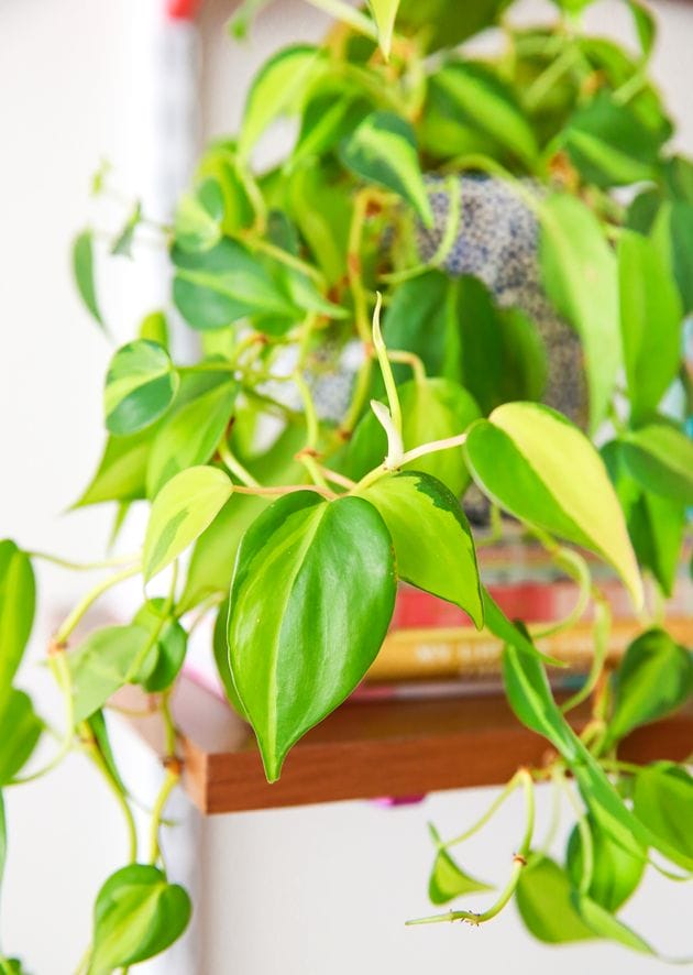 5 Easy Ways to Add Color To Your Desk