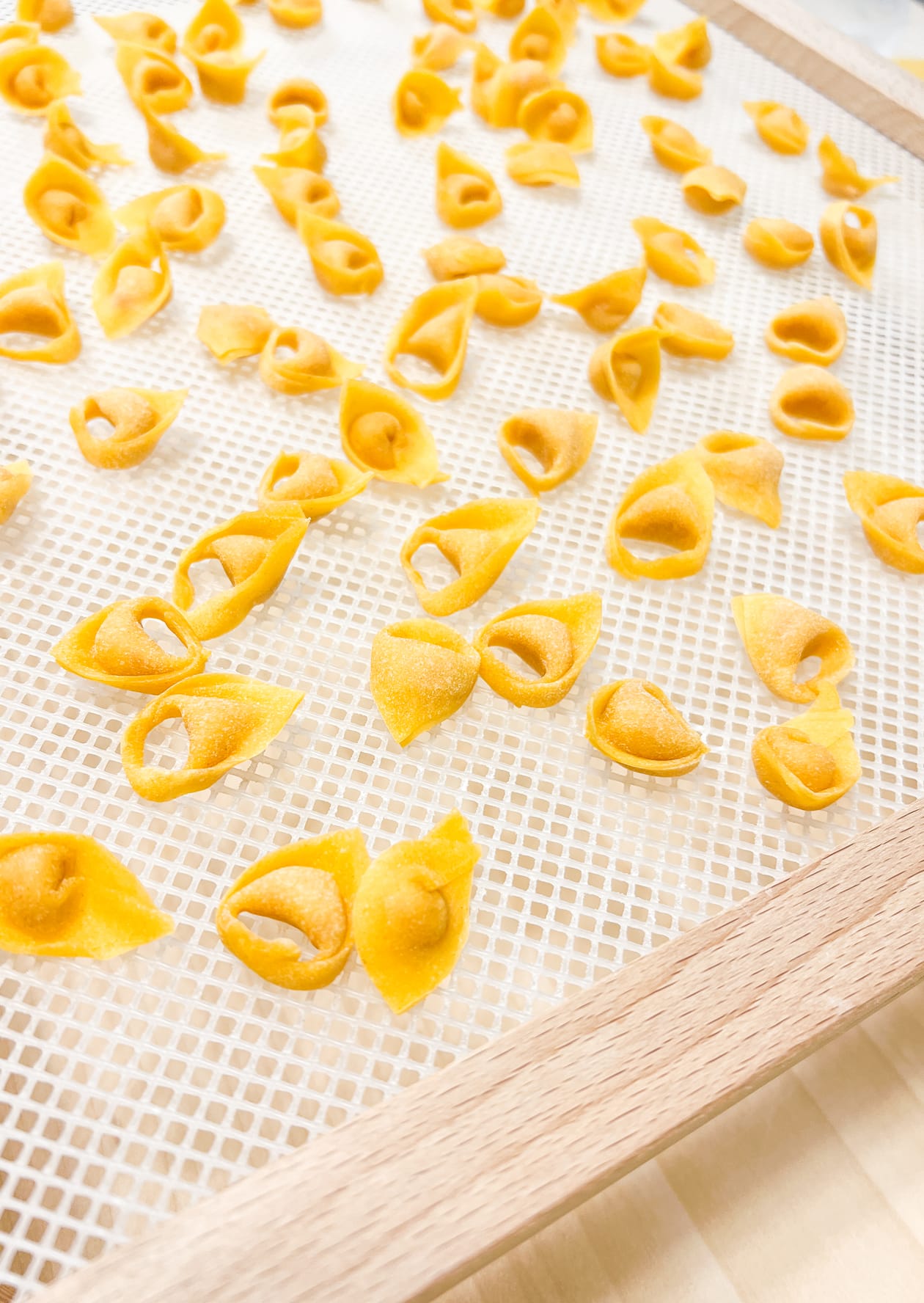handmade tortellini