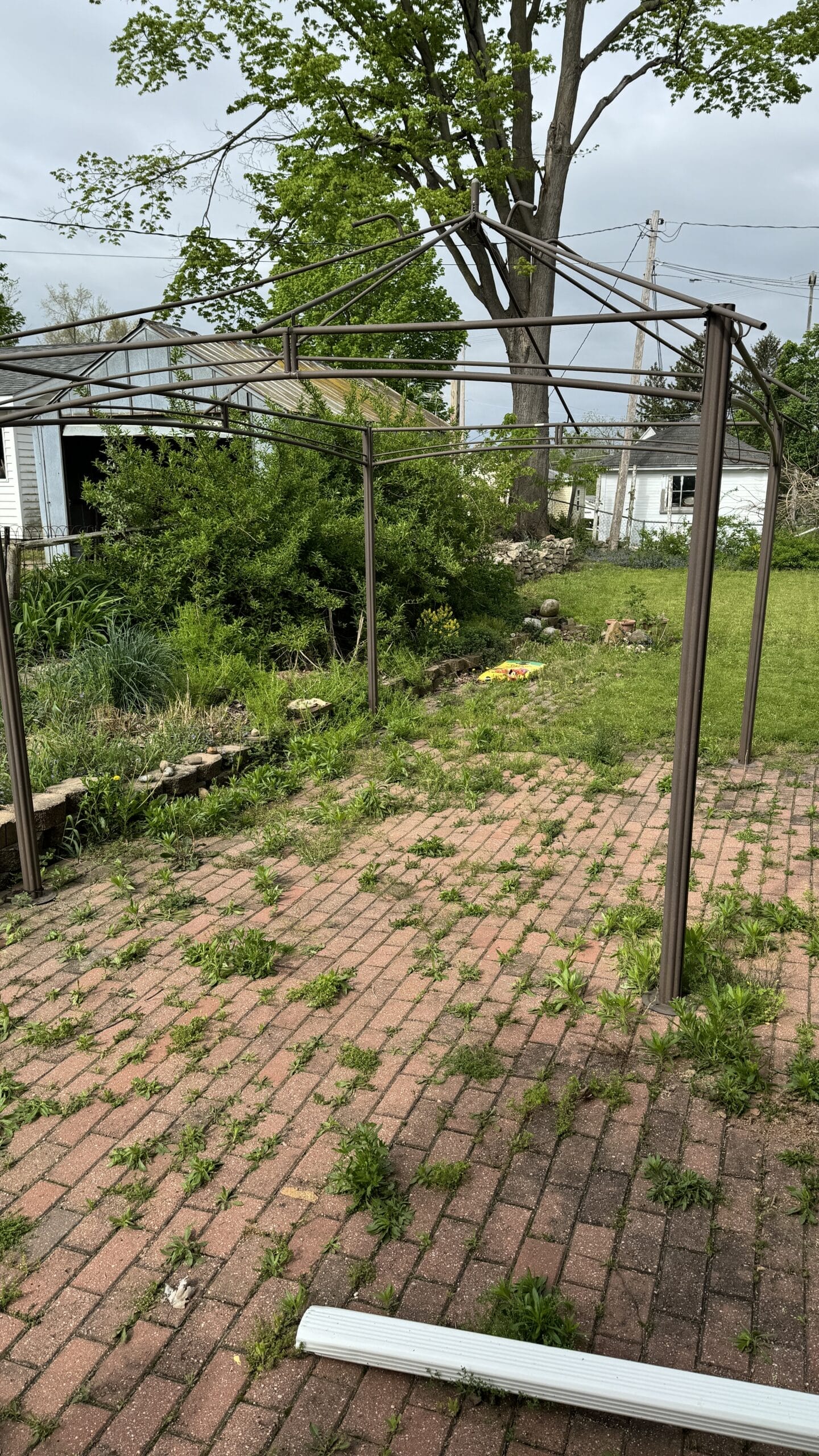 brick patio with weeds overgrown